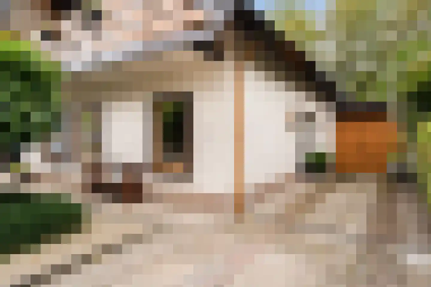 Bergse Maas 22 Pijnacker thumbnail 9