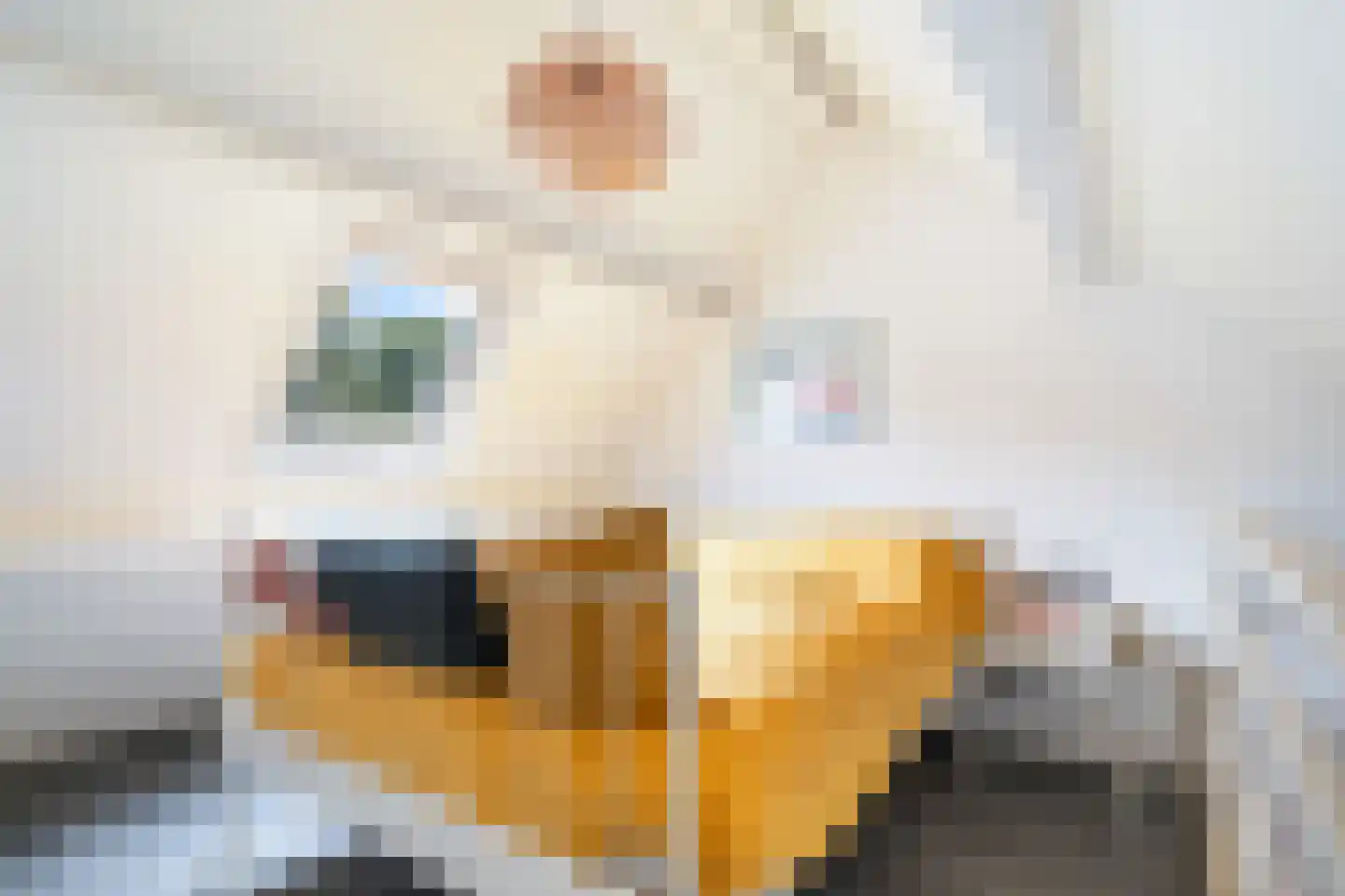 Bergse Maas 5 Pijnacker thumbnail 34