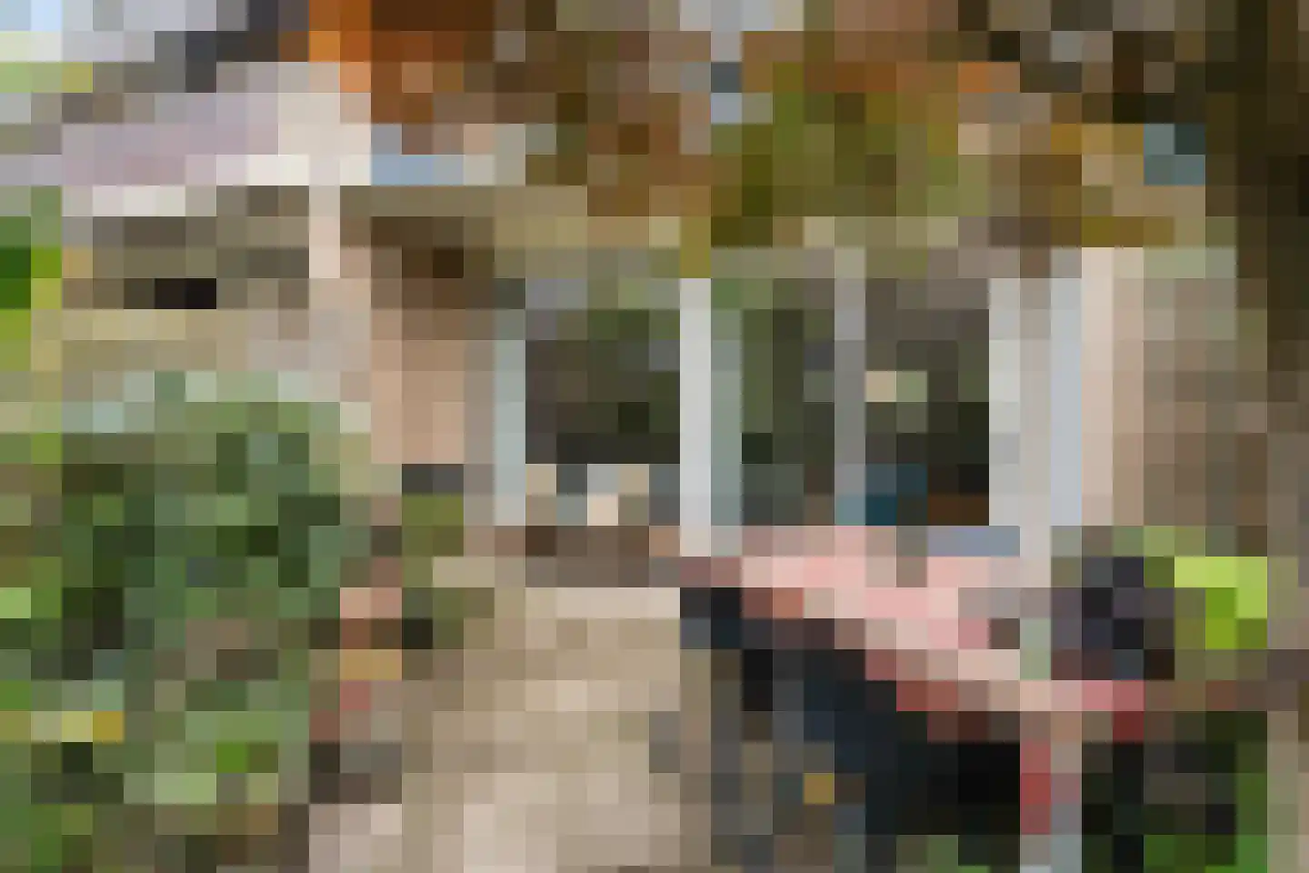 Bergse Maas 5 Pijnacker thumbnail 37