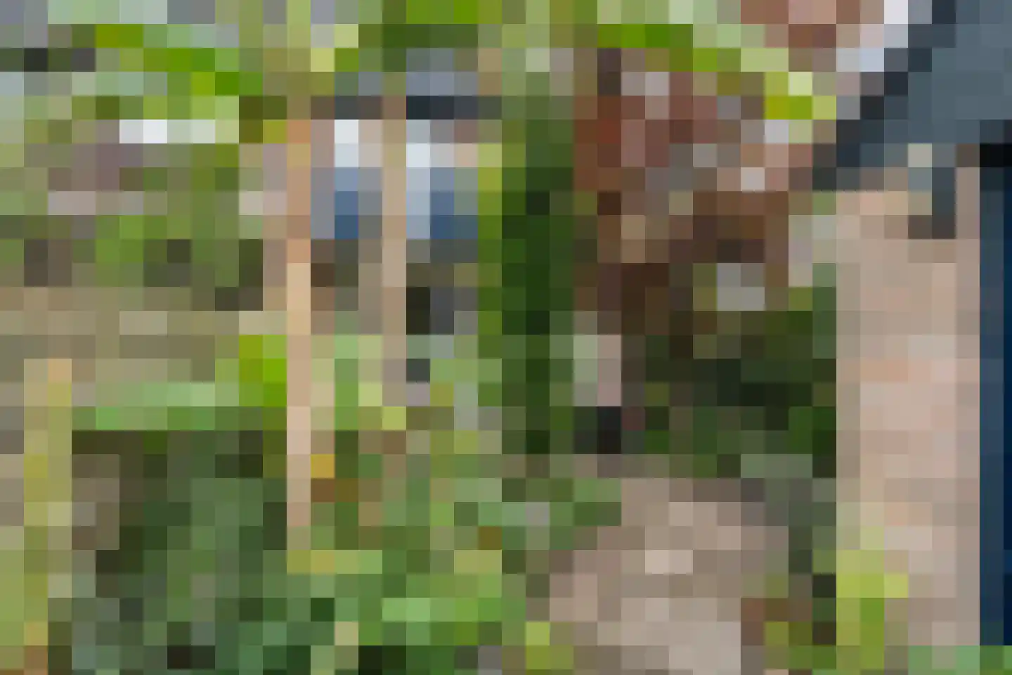 Bergse Maas 5 Pijnacker thumbnail 39