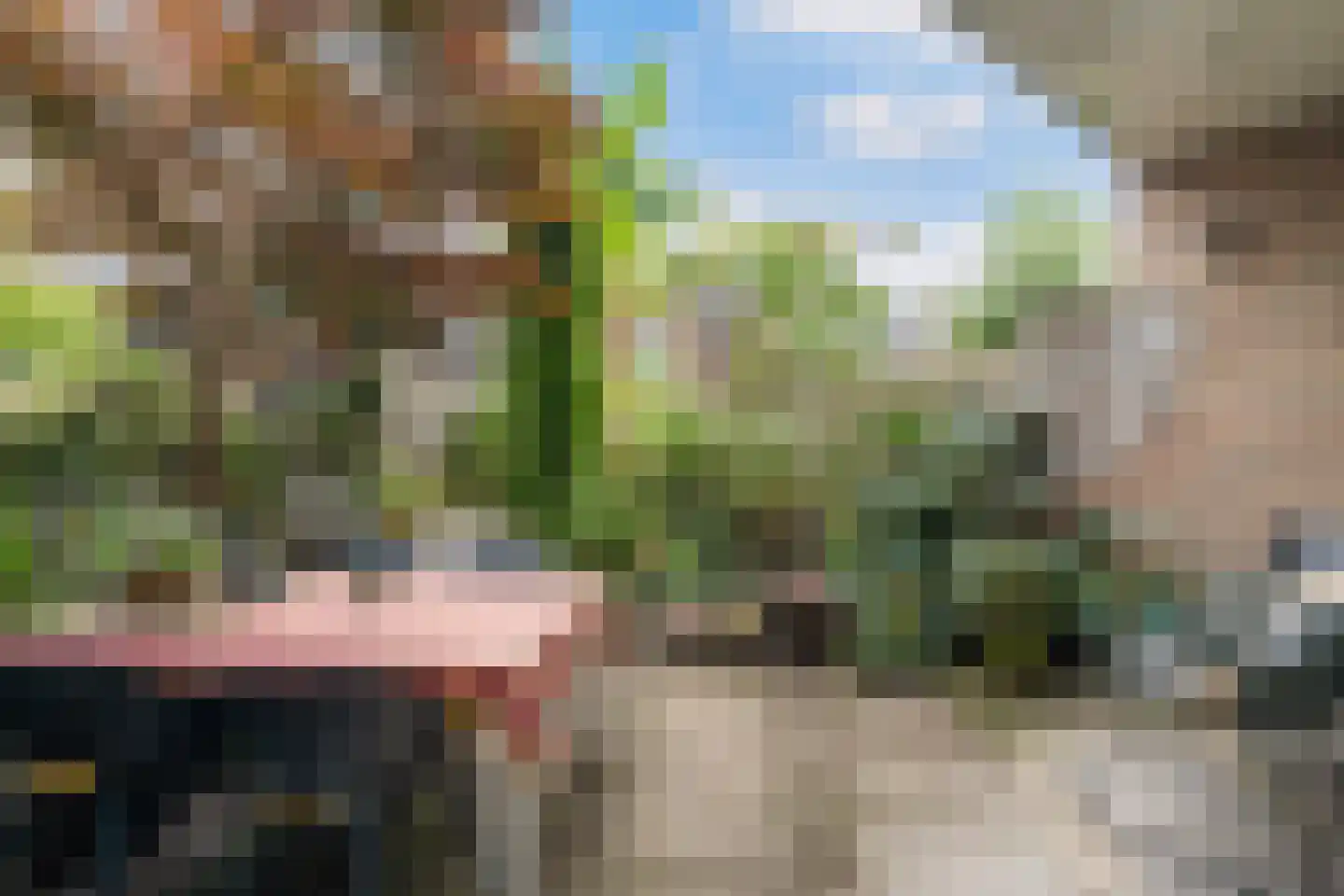 Bergse Maas 5 Pijnacker thumbnail 5