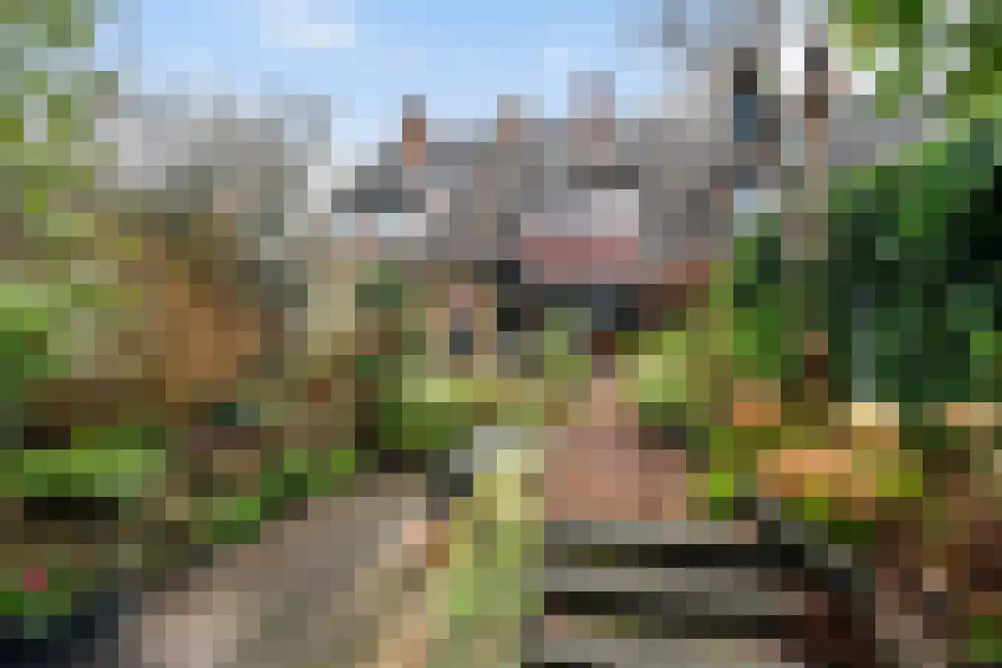 Bergse Maas 8 Pijnacker thumbnail 26
