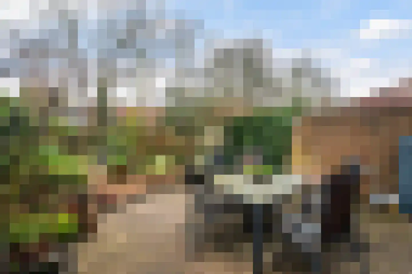 Bergse Maas 8 Pijnacker thumbnail 4