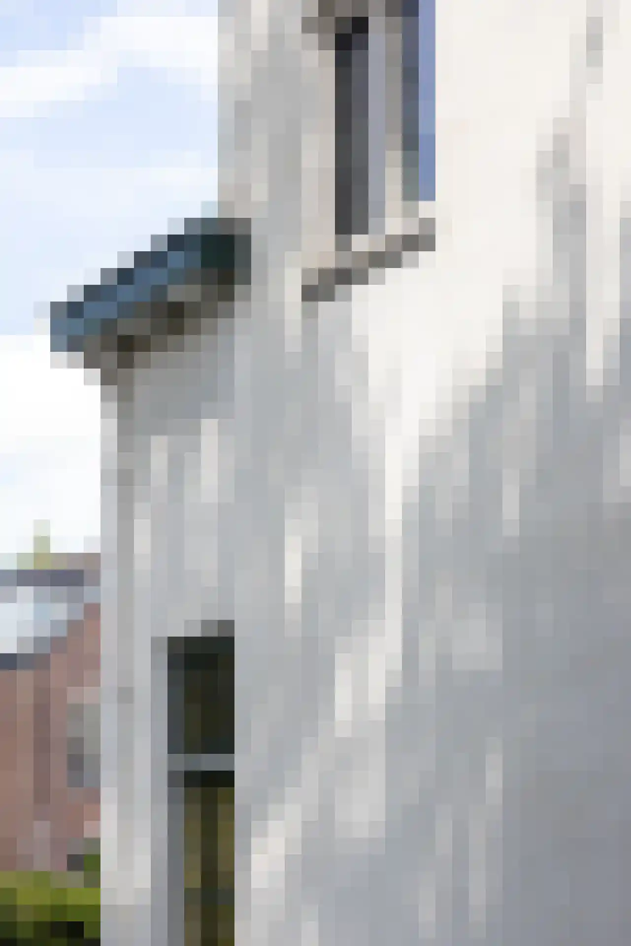 Bergse Plaslaan 2 Rotterdam thumbnail 42
