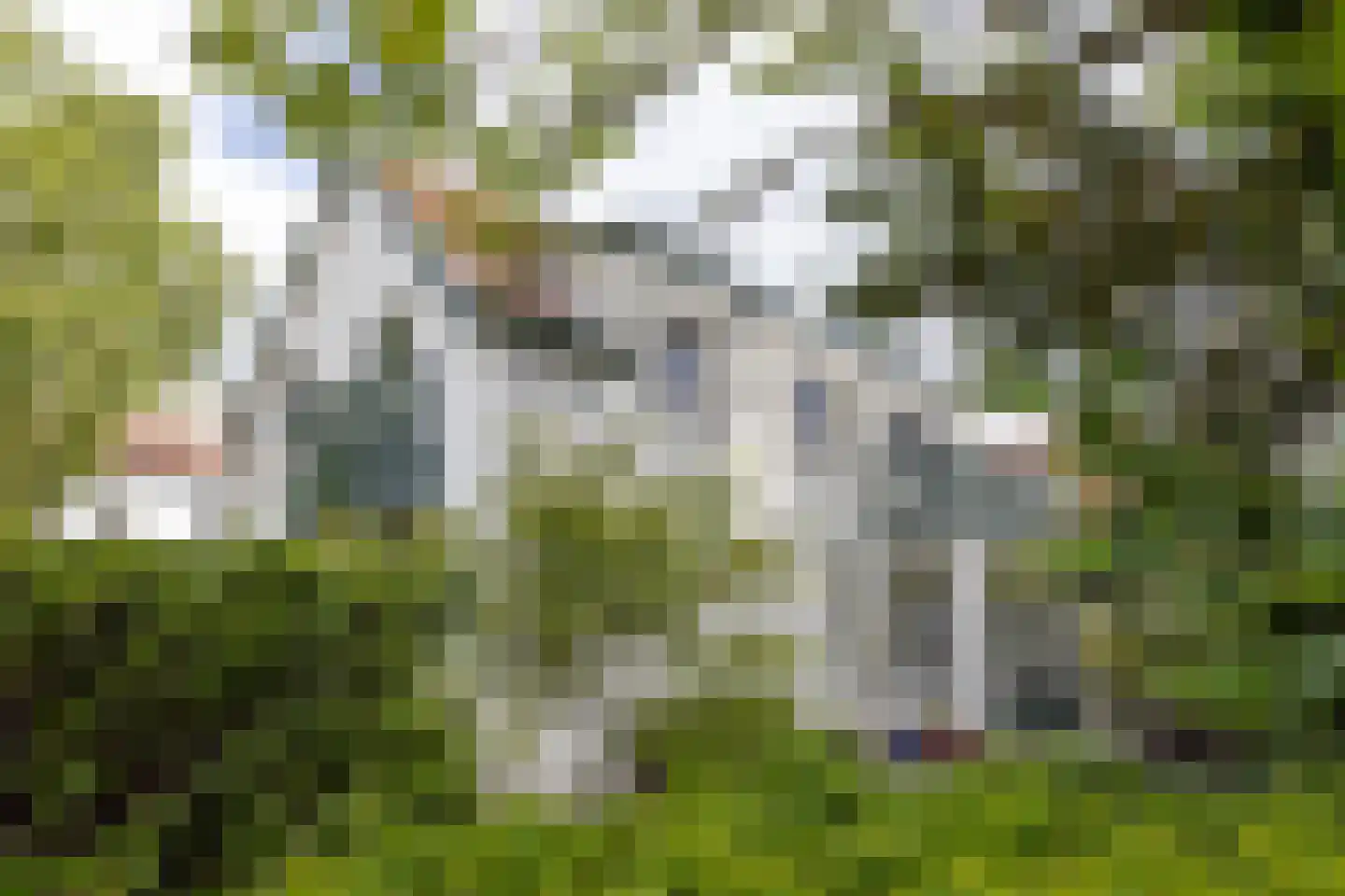 Bergse Plaslaan 2 Rotterdam thumbnail 43