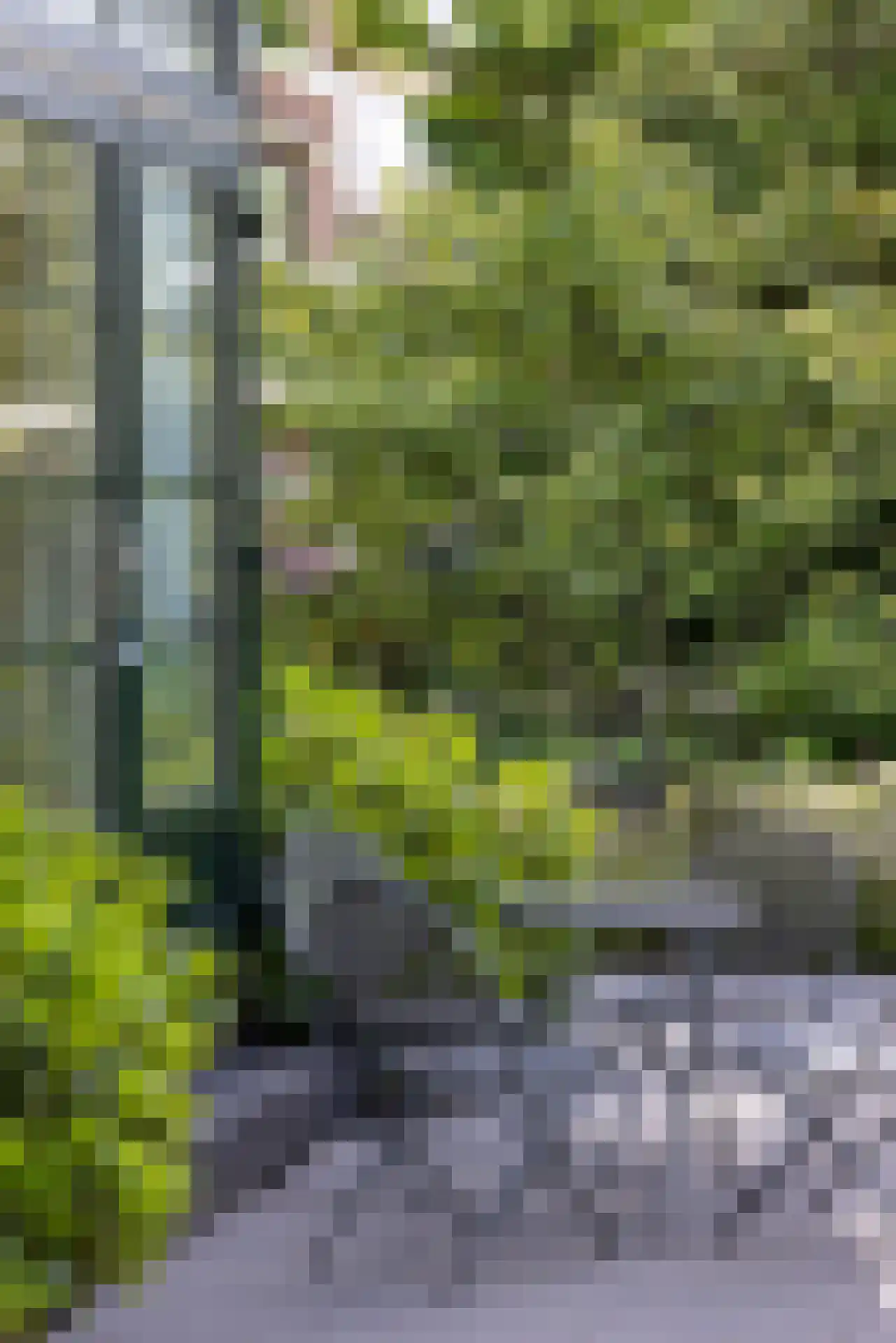 Bergse Plaslaan 2 Rotterdam thumbnail 46