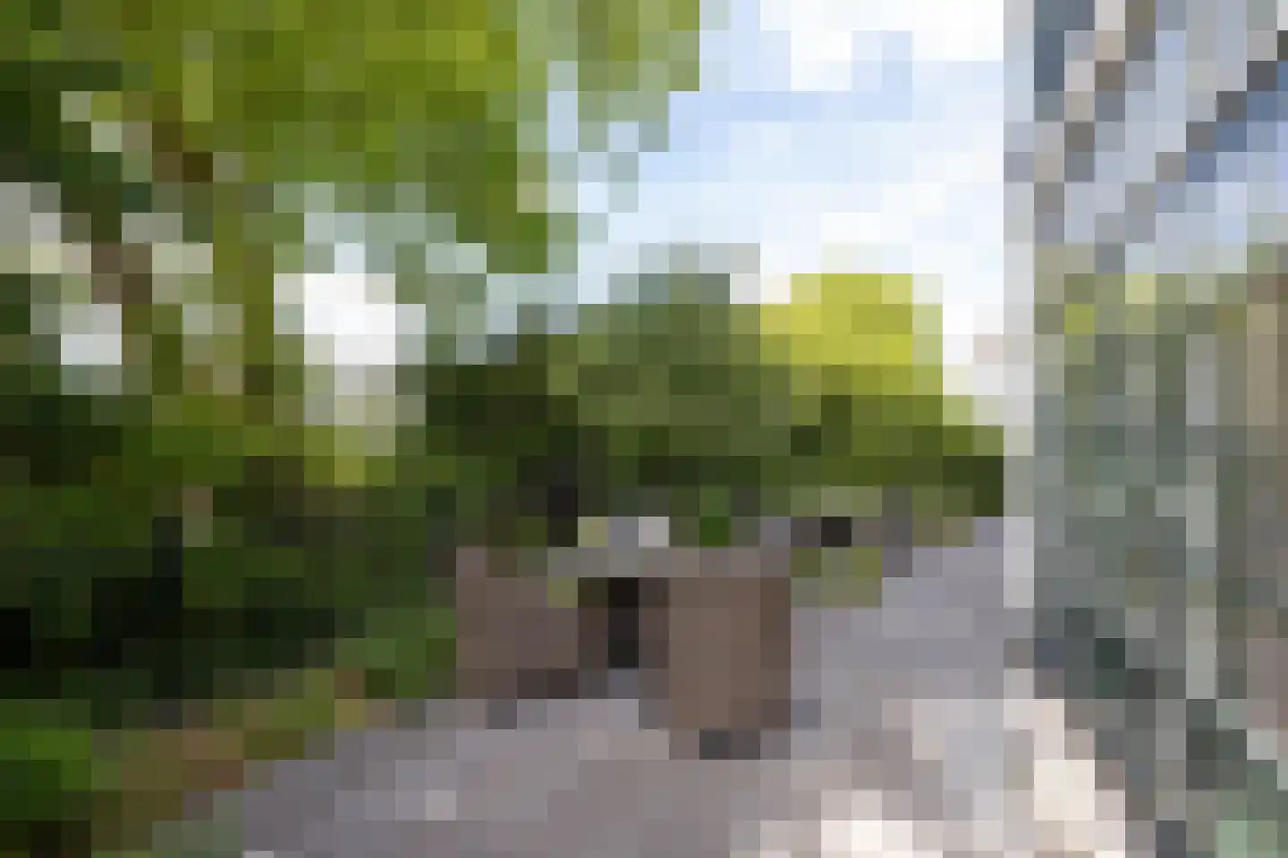 Bergse Plaslaan 2 Rotterdam thumbnail 5