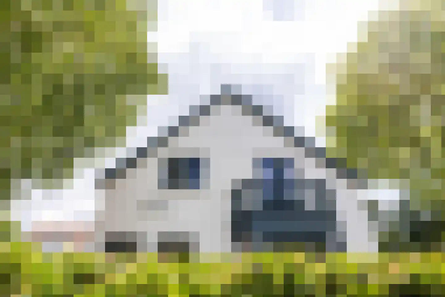 Bergse Plaslaan 2 Rotterdam thumbnail 52