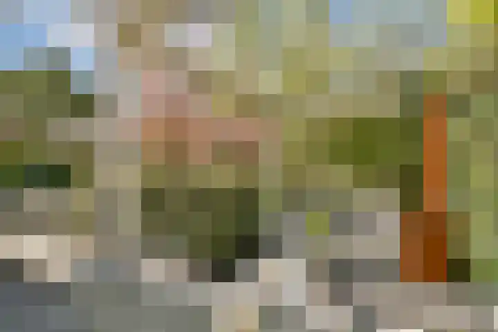 Bergse Plaslaan 8 Rotterdam thumbnail 12