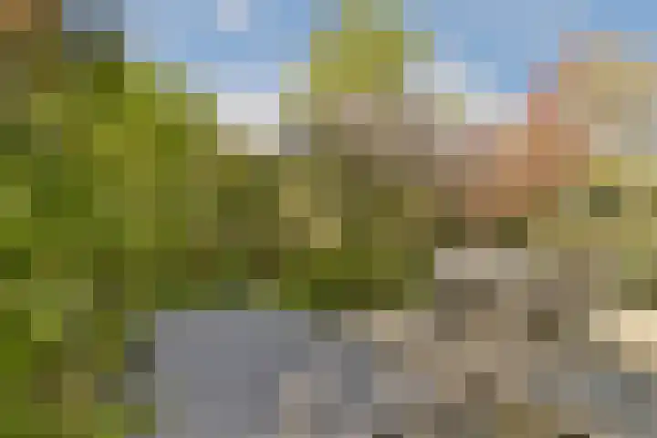 Bergse Plaslaan 8 Rotterdam thumbnail 13