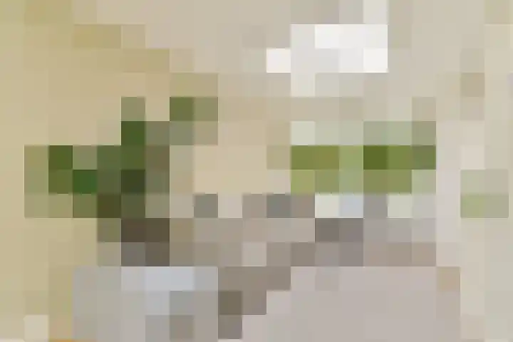 Bergse Plaslaan 8 Rotterdam thumbnail 26