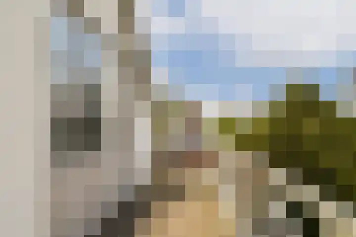 Bergse Plaslaan 8 Rotterdam thumbnail 36