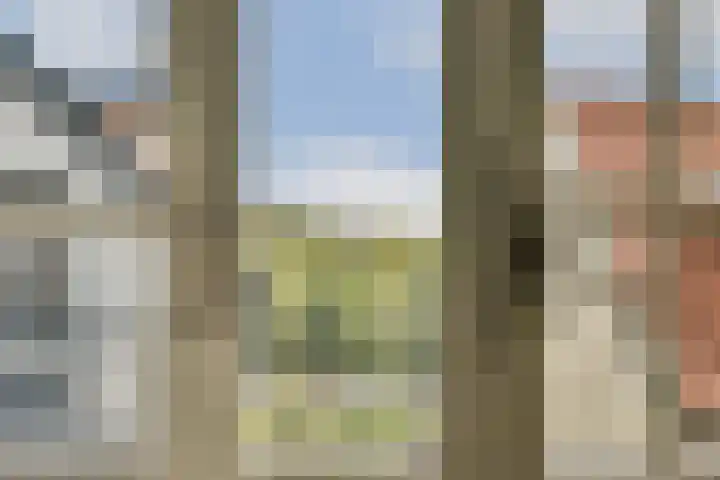 Bergse Plaslaan 8 Rotterdam thumbnail 39