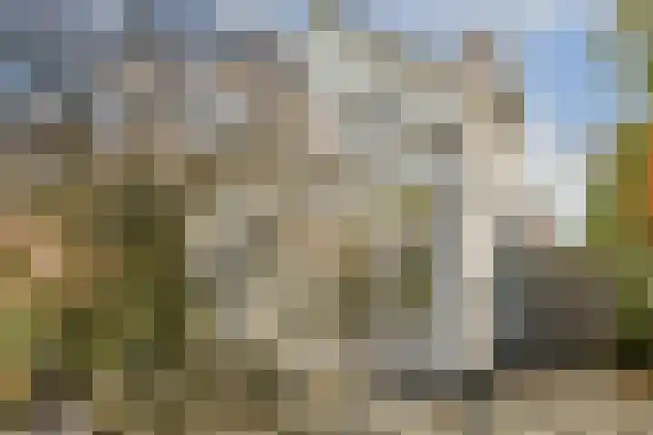 Bergse Plaslaan 8 Rotterdam thumbnail 4