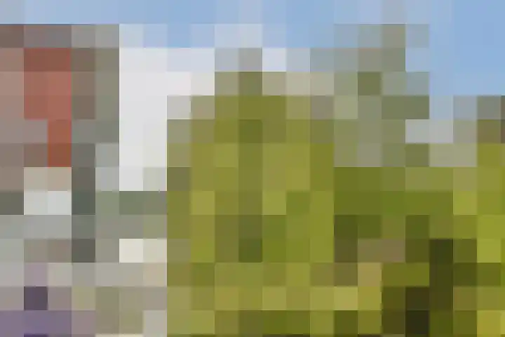 Bergse Plaslaan 8 Rotterdam thumbnail 40