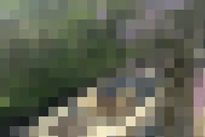 Bergse Plaslaan 8 Rotterdam thumbnail 46