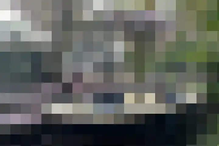 Bergse Plaslaan 8 Rotterdam thumbnail 47