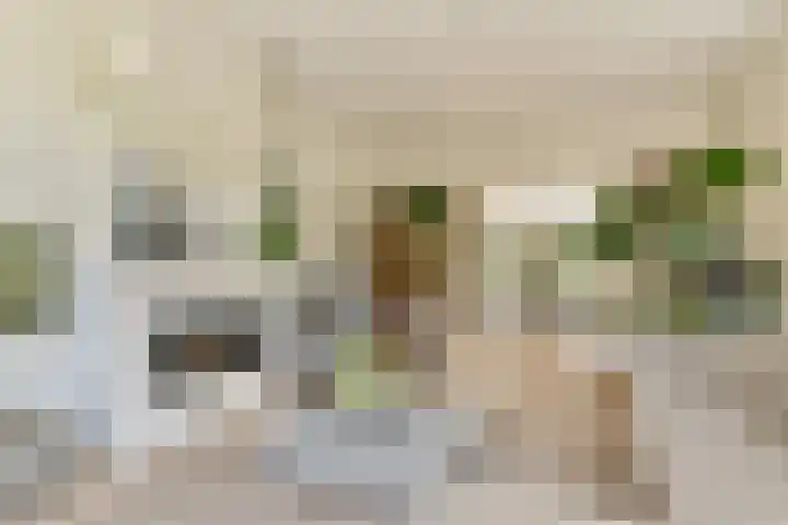 Bergse Plaslaan 8 Rotterdam thumbnail 5