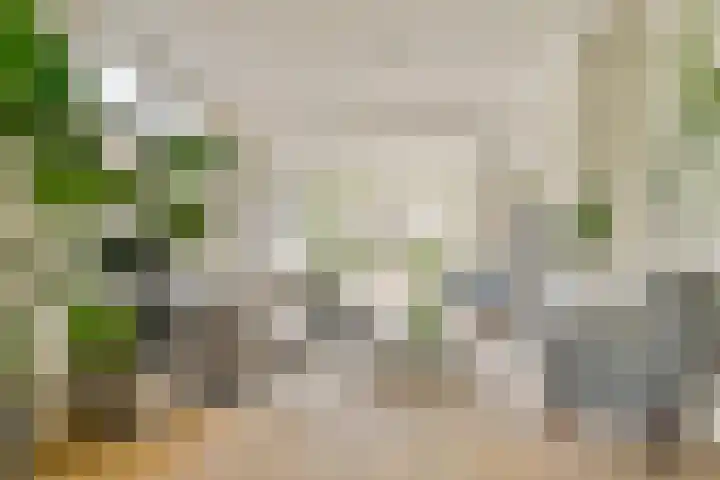 Bergse Plaslaan 8 Rotterdam thumbnail 6