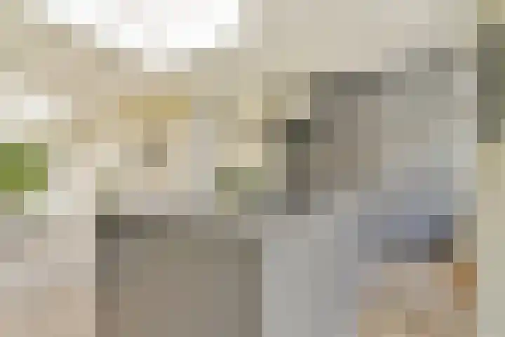 Bergse Plaslaan 8 Rotterdam thumbnail 7