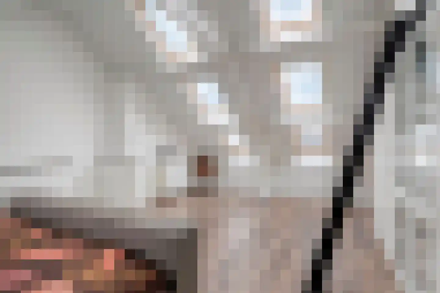 Bergse Poort 10 Geertruidenberg thumbnail 5