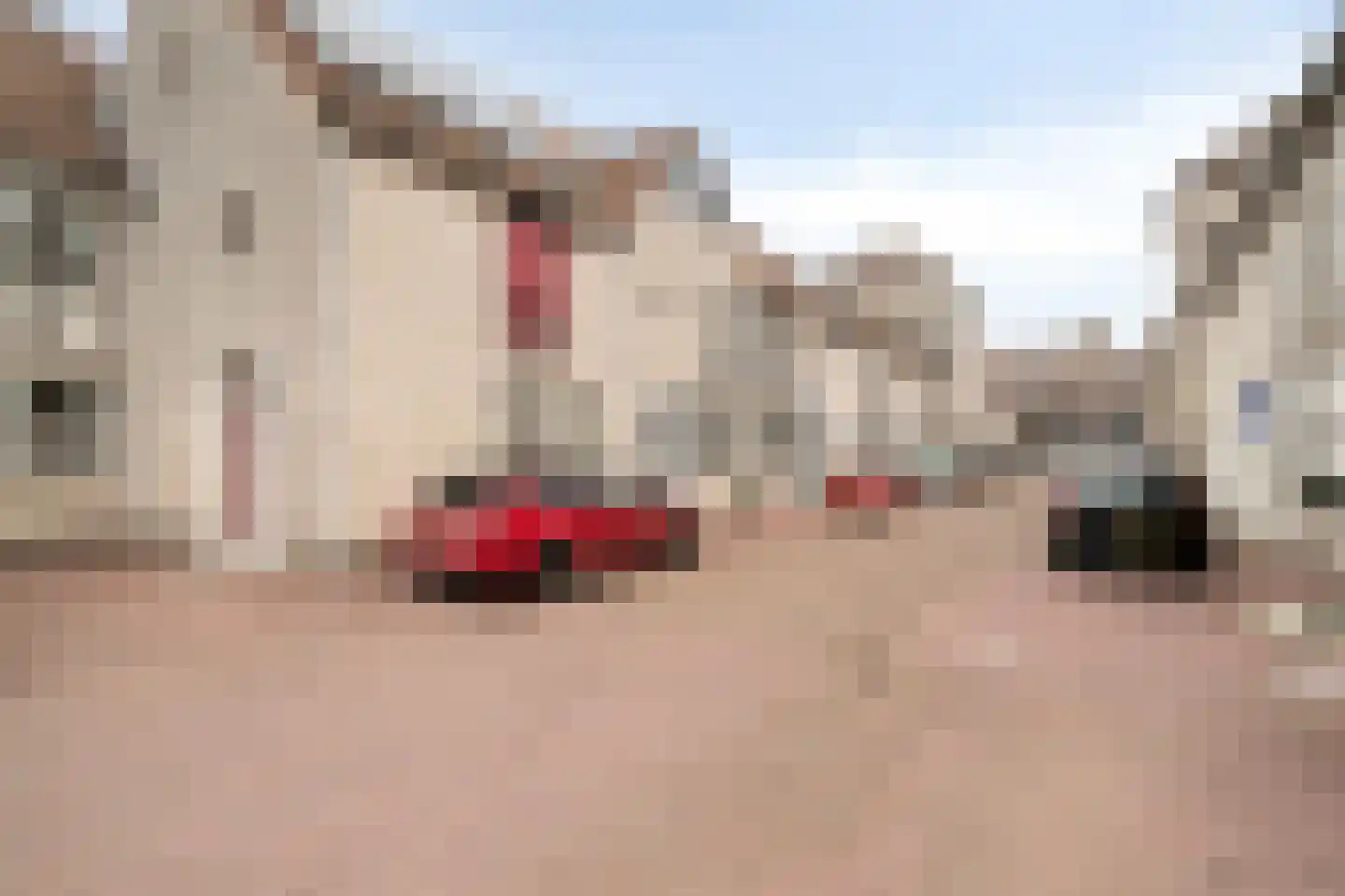 Bergse Poort 10 Geertruidenberg thumbnail 7
