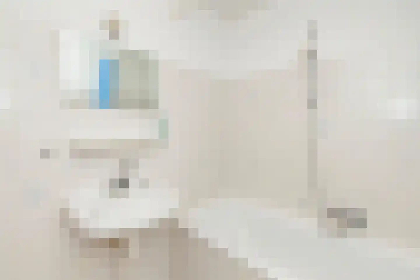 Bergse Rechter Rottekade 101 Rotterdam thumbnail 34