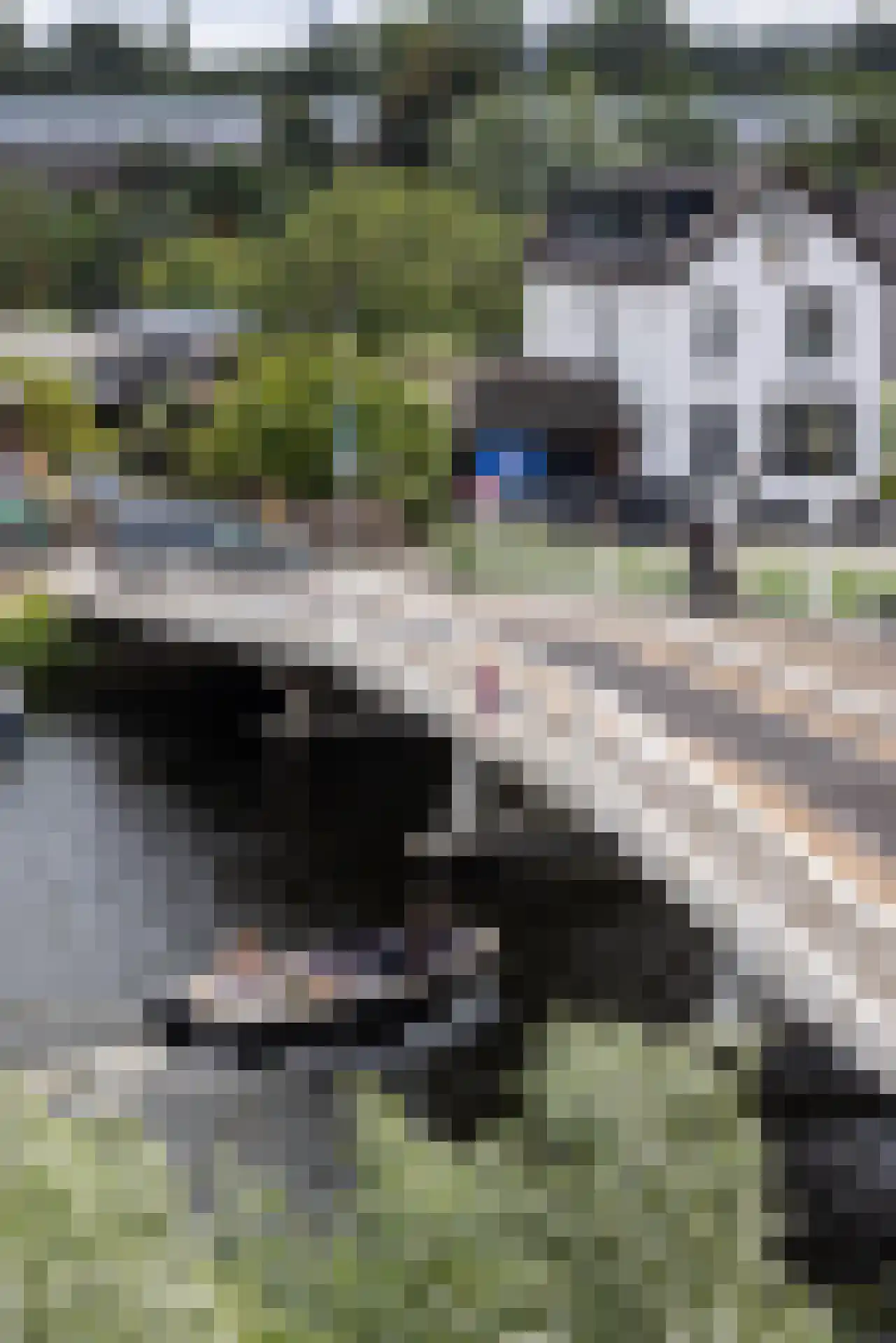 Bergse Rechter Rottekade 108 Rotterdam thumbnail 21
