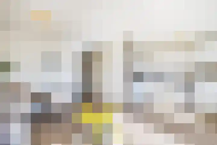 Bergse Rechter Rottekade 118 Rotterdam thumbnail 11