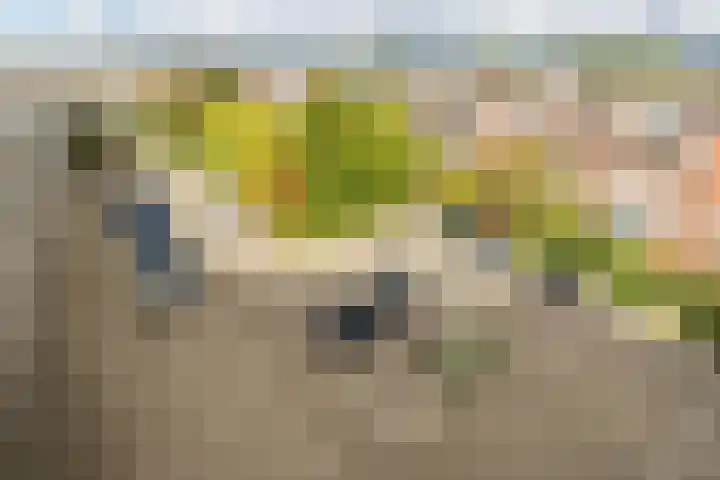 Bergse Rechter Rottekade 118 Rotterdam thumbnail 24