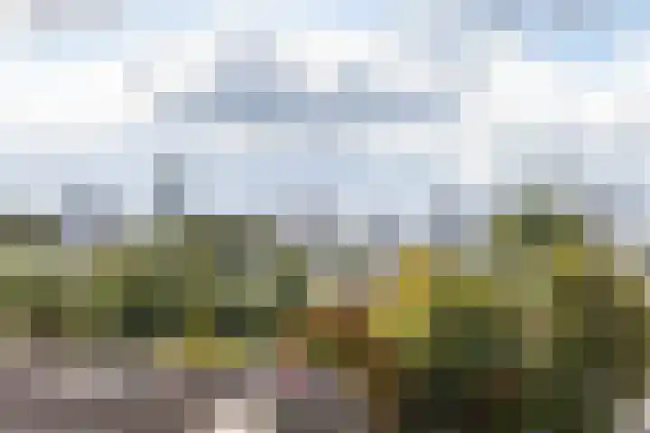 Bergse Rechter Rottekade 118 Rotterdam thumbnail 29