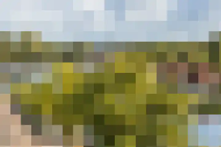Bergse Rechter Rottekade 118 Rotterdam thumbnail 30