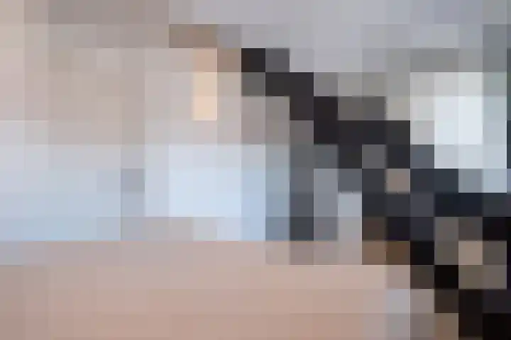 Bergse Rechter Rottekade 14 Rotterdam thumbnail 23