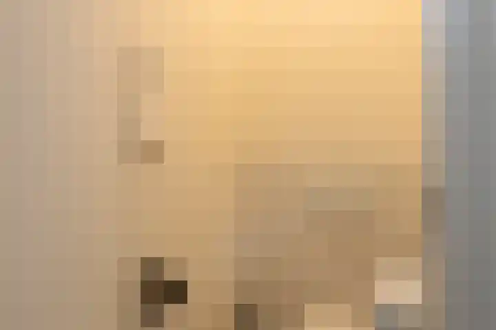 Bergse Rechter Rottekade 14 Rotterdam thumbnail 35