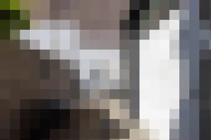 Bergse Rechter Rottekade 14 Rotterdam thumbnail 37