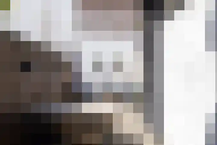 Bergse Rechter Rottekade 14 Rotterdam thumbnail 38