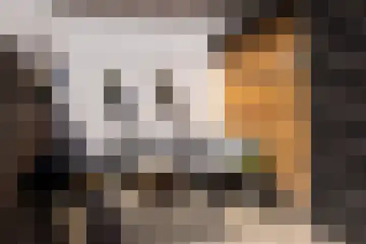 Bergse Rechter Rottekade 14 Rotterdam thumbnail 39