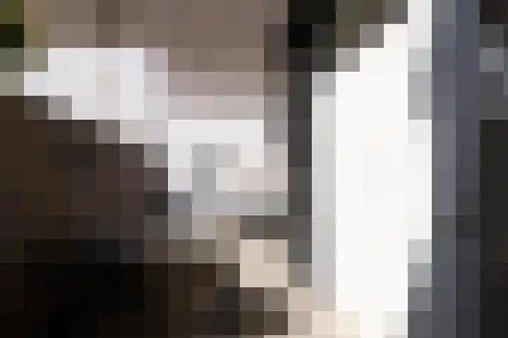 Bergse Rechter Rottekade 14 Rotterdam thumbnail 40
