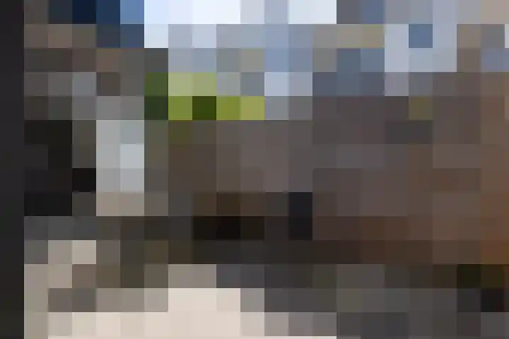 Bergse Rechter Rottekade 14 Rotterdam thumbnail 41