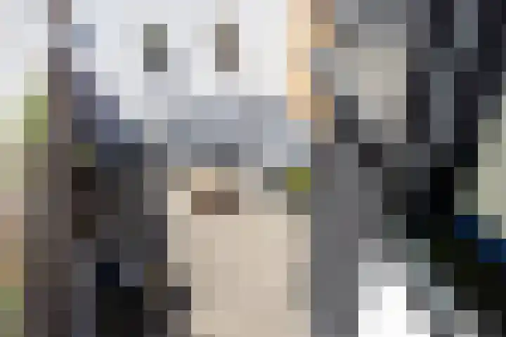 Bergse Rechter Rottekade 14 Rotterdam thumbnail 43