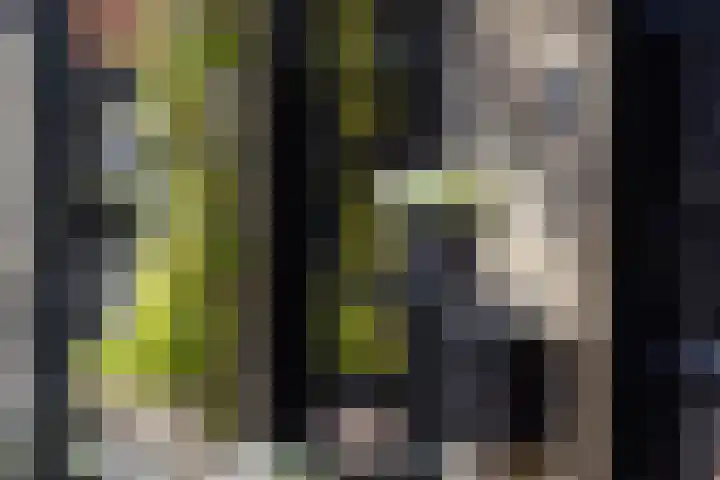 Bergse Rechter Rottekade 14 Rotterdam thumbnail 44