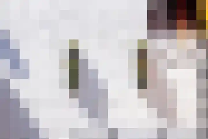 Bergse Rechter Rottekade 14 Rotterdam thumbnail 50