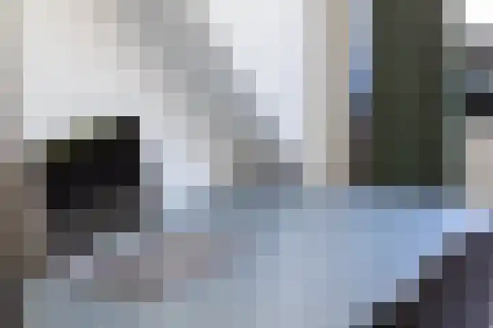 Bergse Rechter Rottekade 14 Rotterdam thumbnail 52