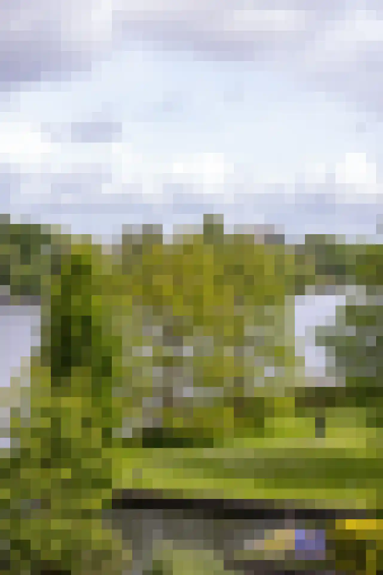 Bergse Rechter Rottekade 149 D Rotterdam thumbnail 21