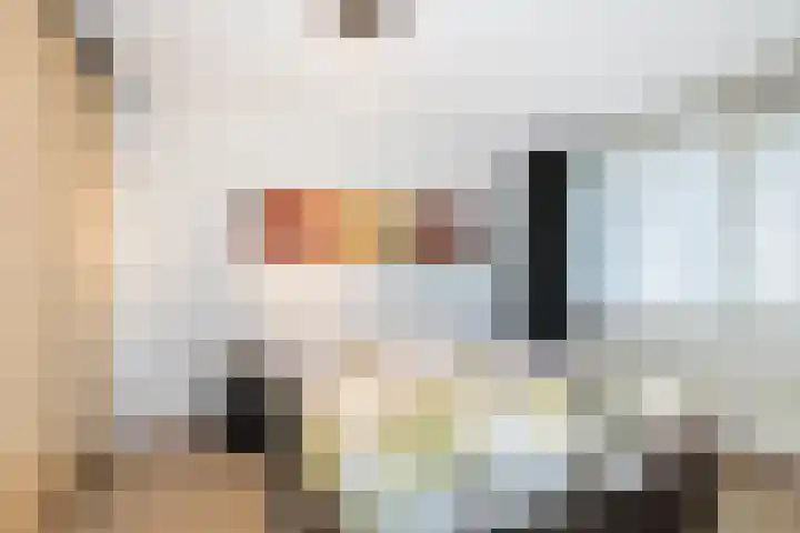 Bergse Rechter Rottekade 149 F Rotterdam thumbnail 29