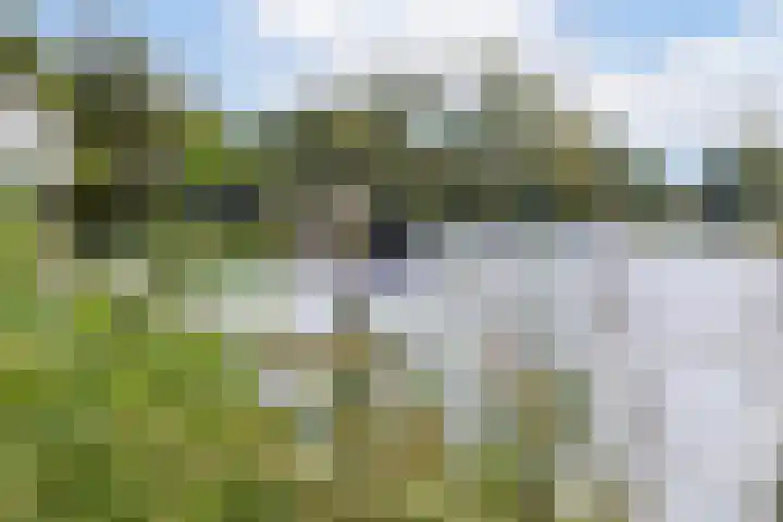 Bergse Rechter Rottekade 149 F Rotterdam thumbnail 44