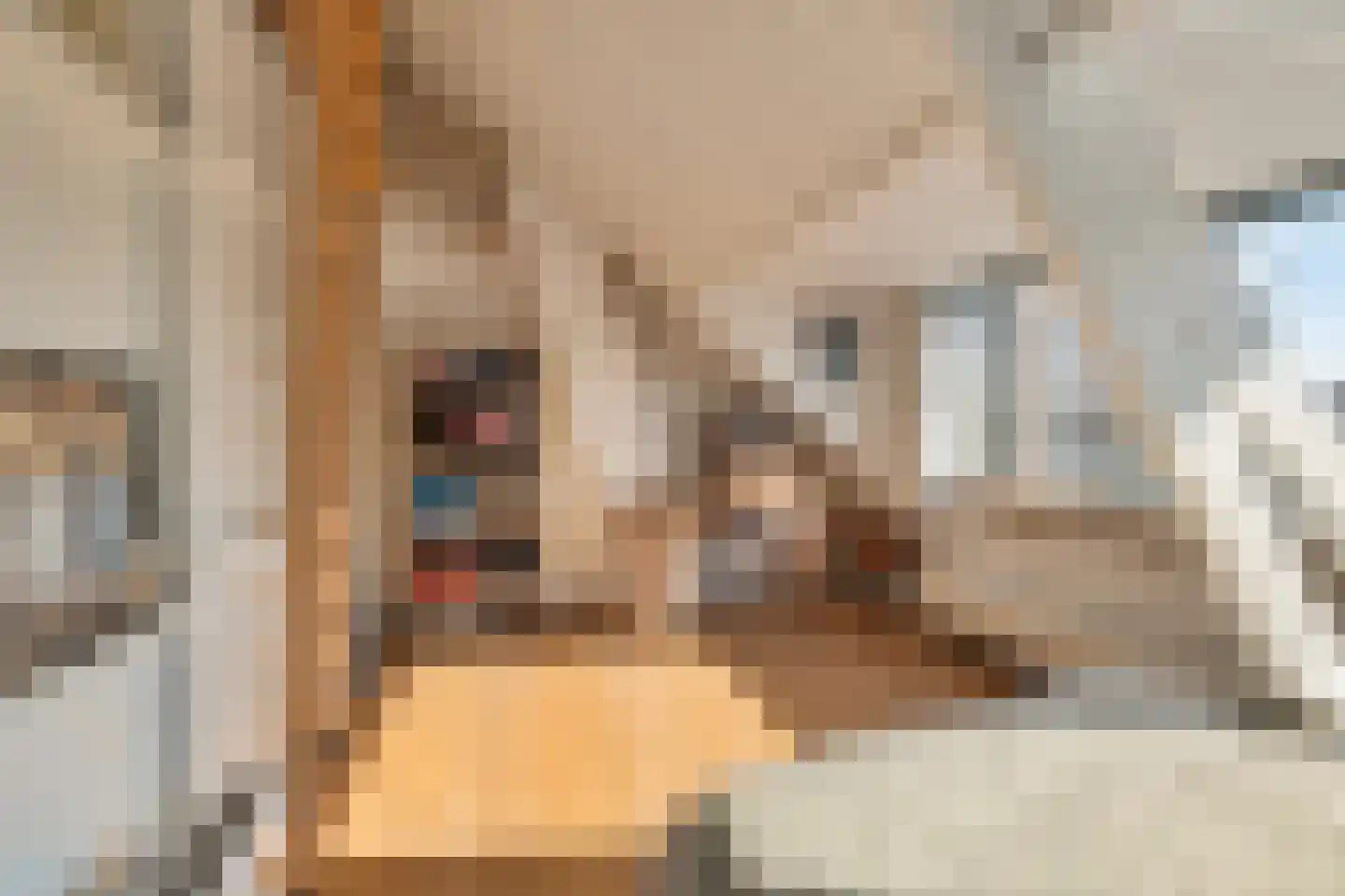Bergse Rechter Rottekade 20 Rotterdam thumbnail 30