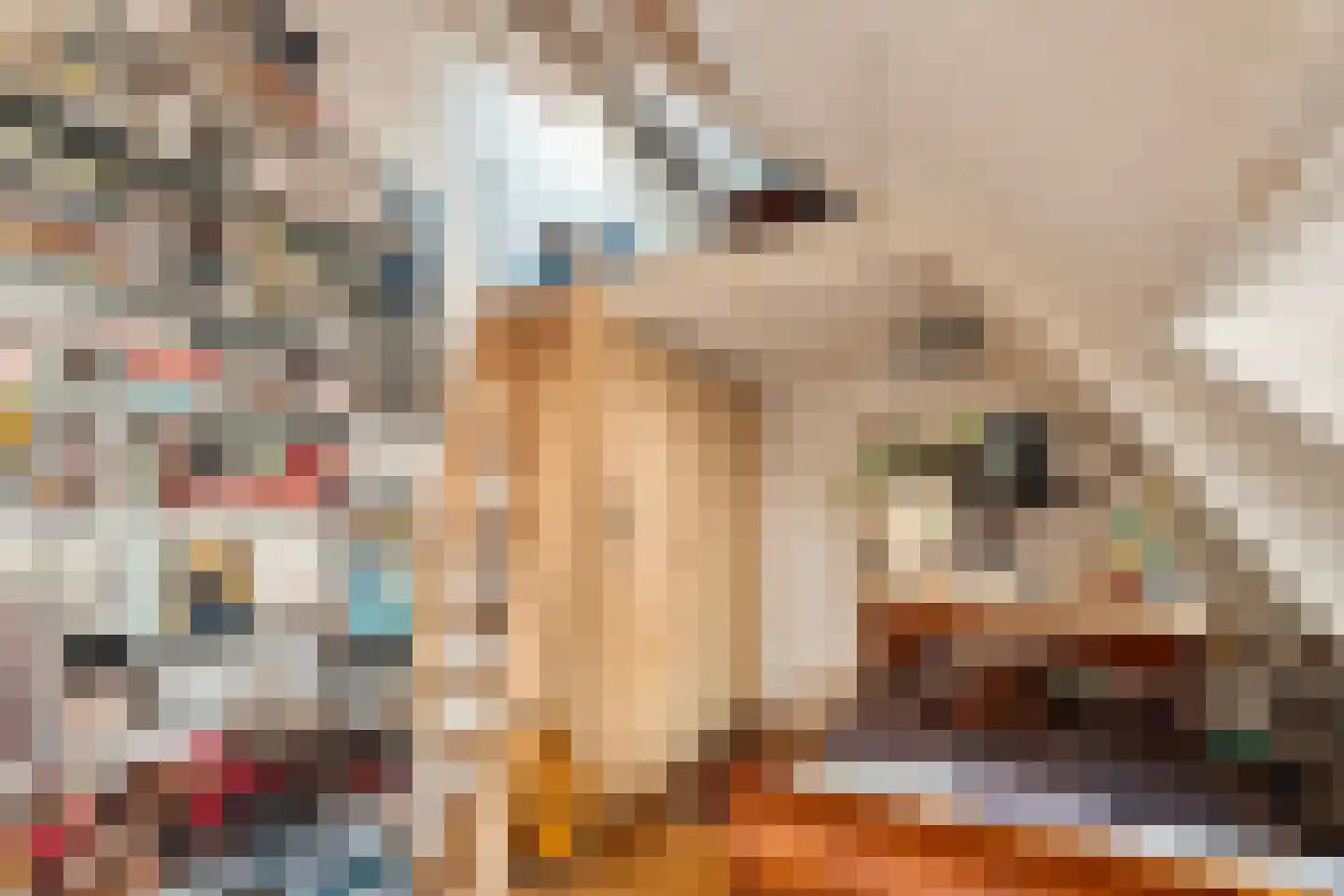 Bergse Rechter Rottekade 20 Rotterdam thumbnail 35