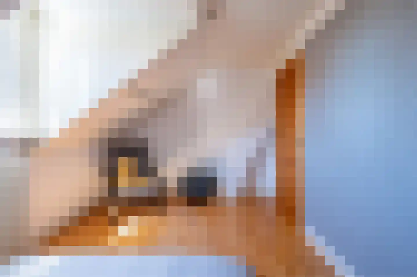 Bergsebaan 10 Nispen thumbnail 26