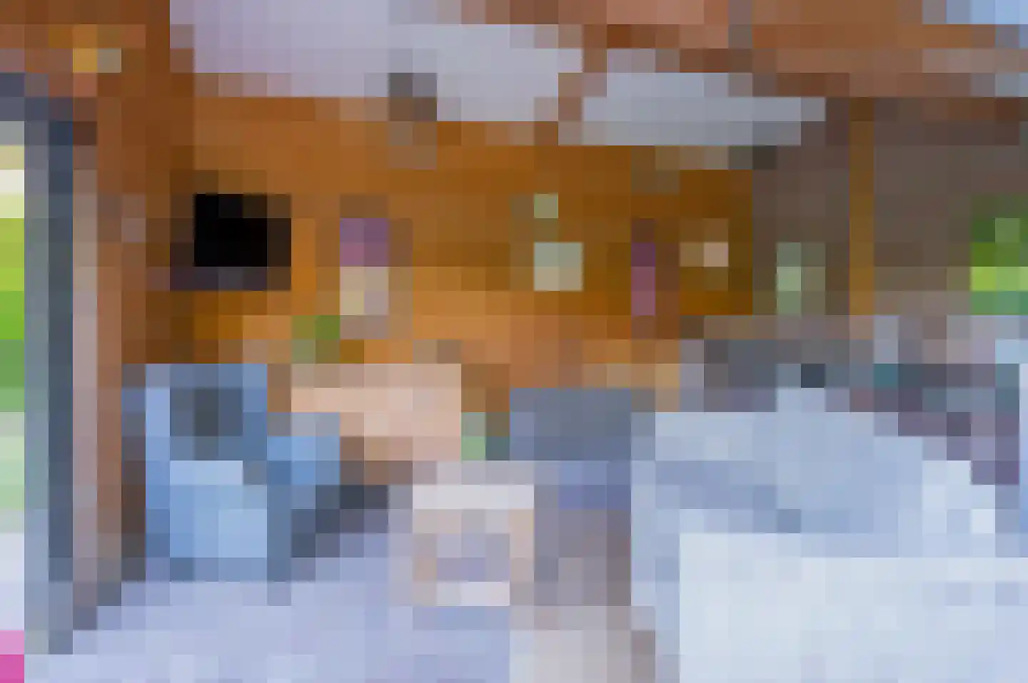 Bergsebaan 10 Nispen thumbnail 32